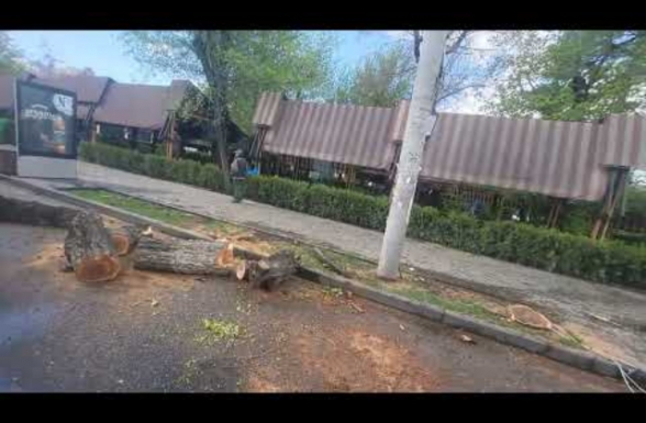 Սրանք էդ տրամաբանությամբ կարող է մի օր որոշեն, որ 50-60-ական թթ. ծնվածները,  ովքեր թոշակի անցնելու շեմին են կամ արդեն անցել են թոշակի, պարտադիր պիտի գնդակահարվեն...